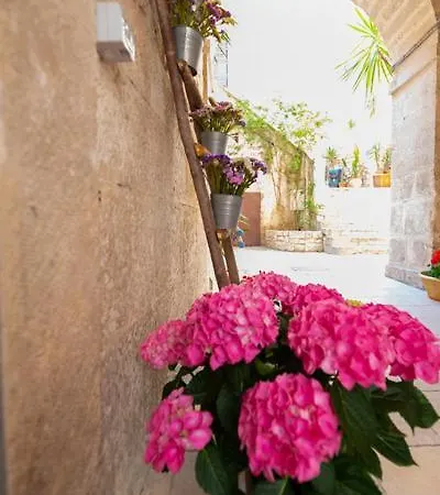 Il Saraceno Appartement