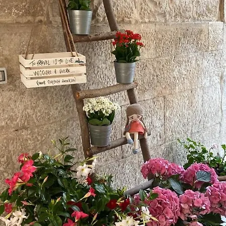 Il Saraceno