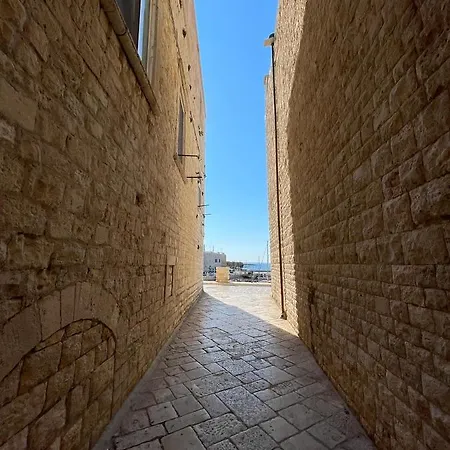 Apartamento Il Saraceno