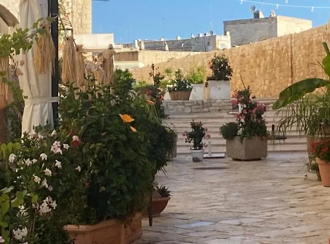 Il Saraceno *
